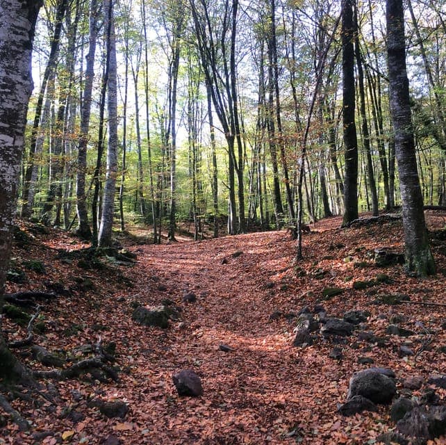 From Barcelona: Medieval Villages and Volcanic Hiking Tour - Image NaN