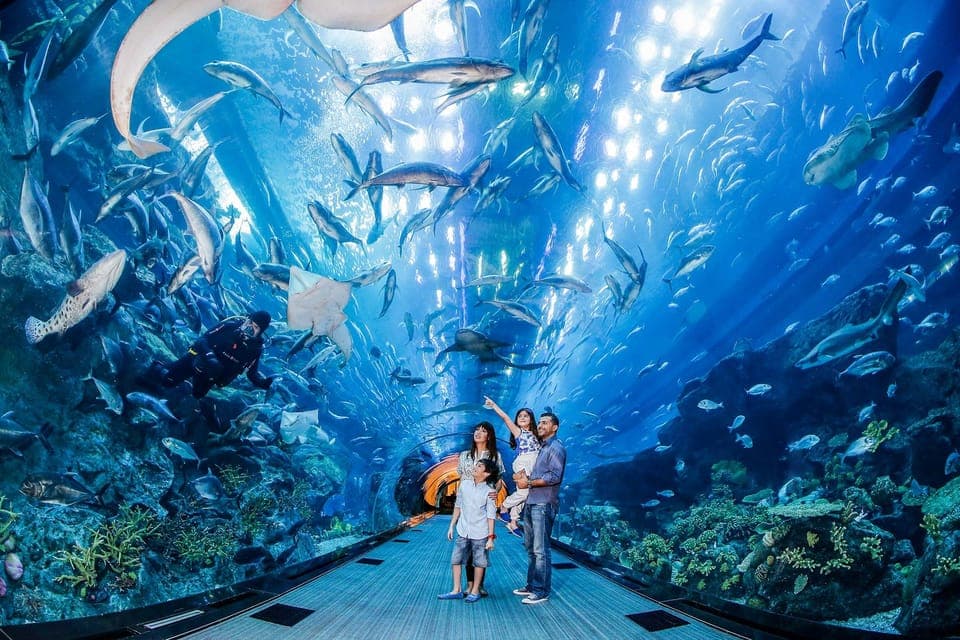 Unlimited Attractions Pass Gallery Image 3