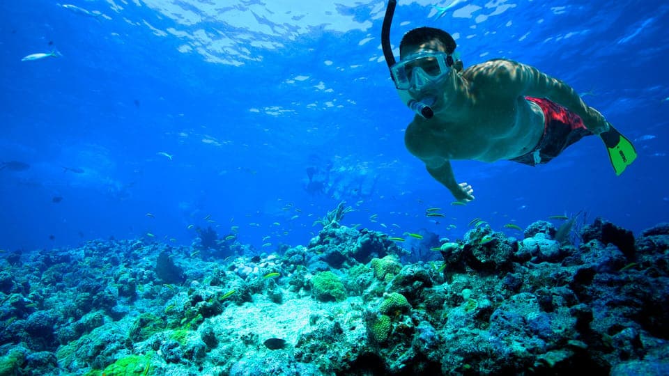 Florida Keys: Full-Day Kayak + Snorkel Coral Reef Adventure Gallery Image 4