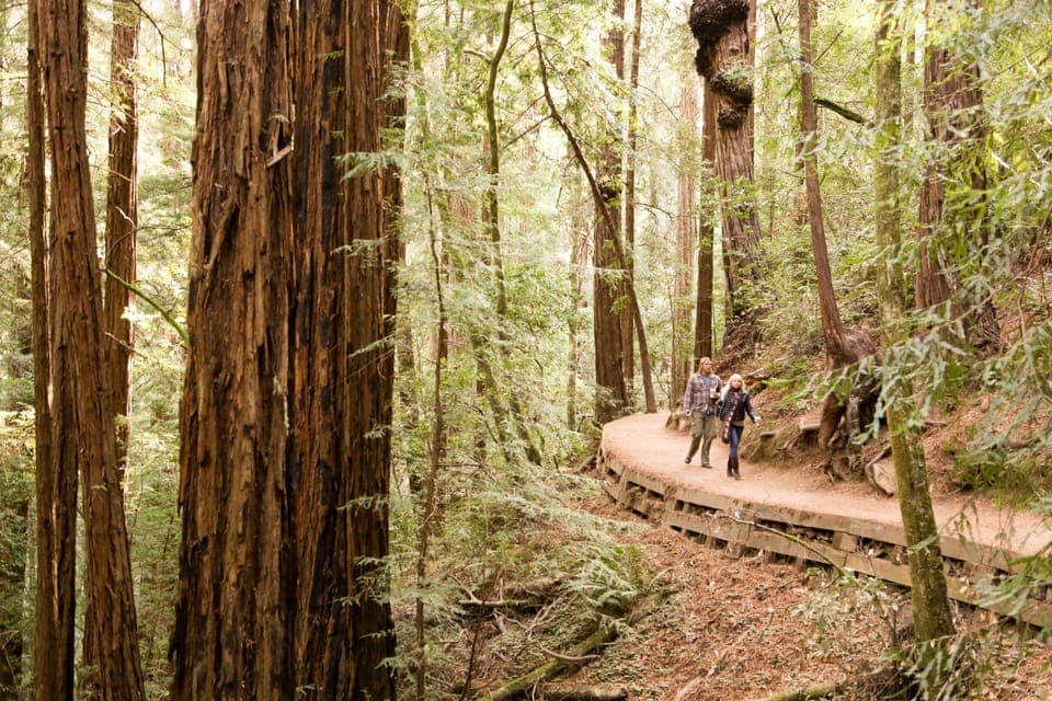 From San Francisco: Alcatraz Night & Muir Woods & Sausalito Gallery Image 4