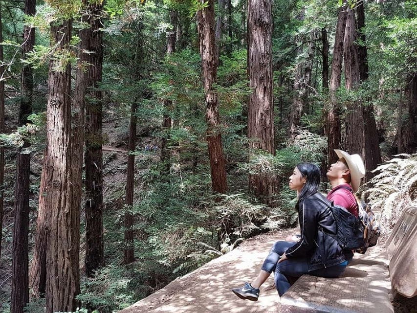 Muir Woods Tour & Golden Gate Bay Cruise Gallery Image 4