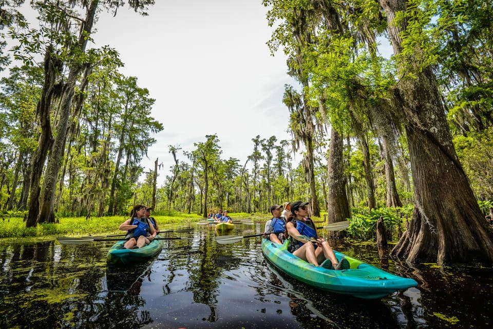 Manchac Magic Kayak Swamp Tour Gallery Image 1