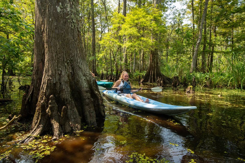 Manchac Magic Kayak Swamp Tour Gallery Image 3