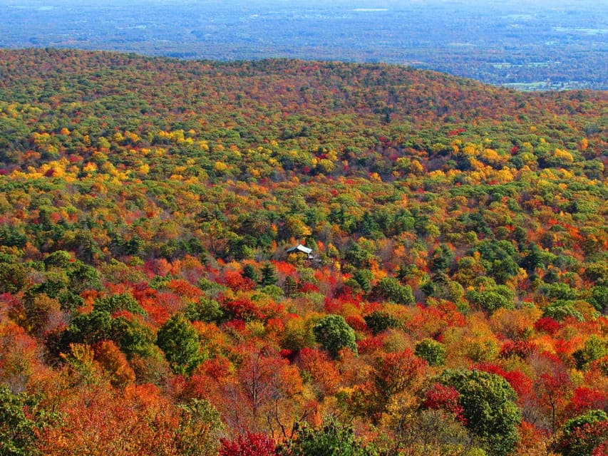 Hudson Valley Fall Foliage Shared Helicopter Tour Gallery Image 3