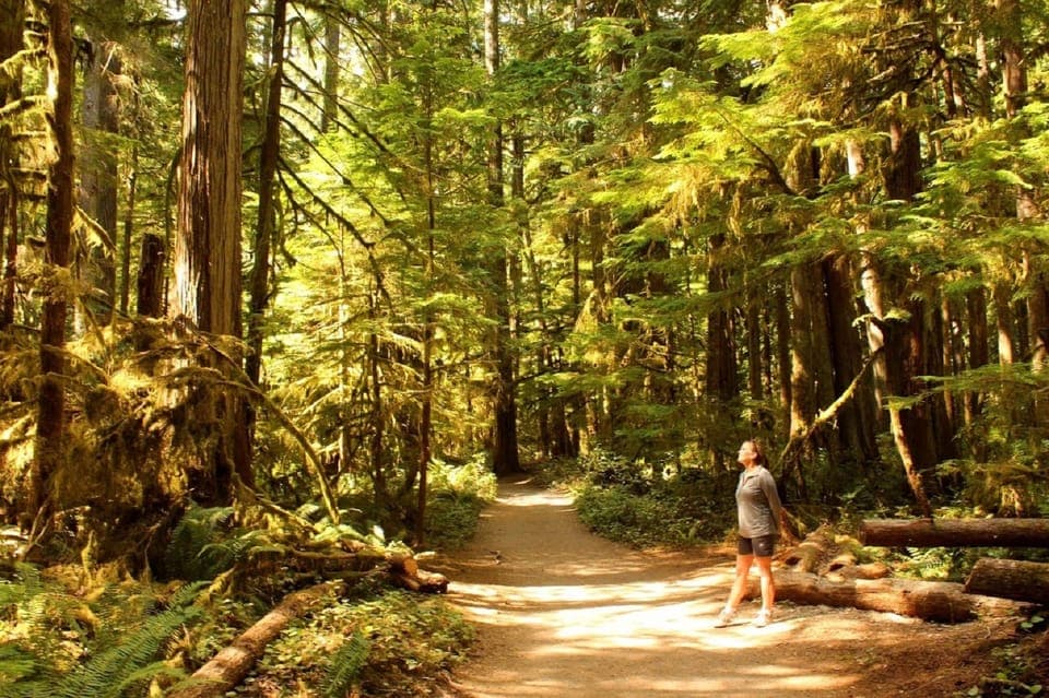 Olympic National Park Small-Group Tour Gallery Image 2