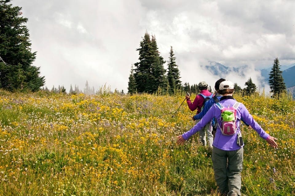 Olympic National Park Small-Group Tour Gallery Image 4