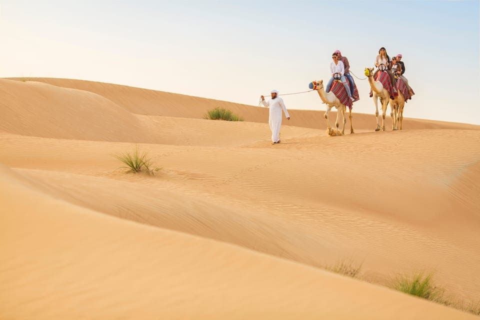 Heritage Camel Desert Safari with Traditional Dinner Gallery Image 2