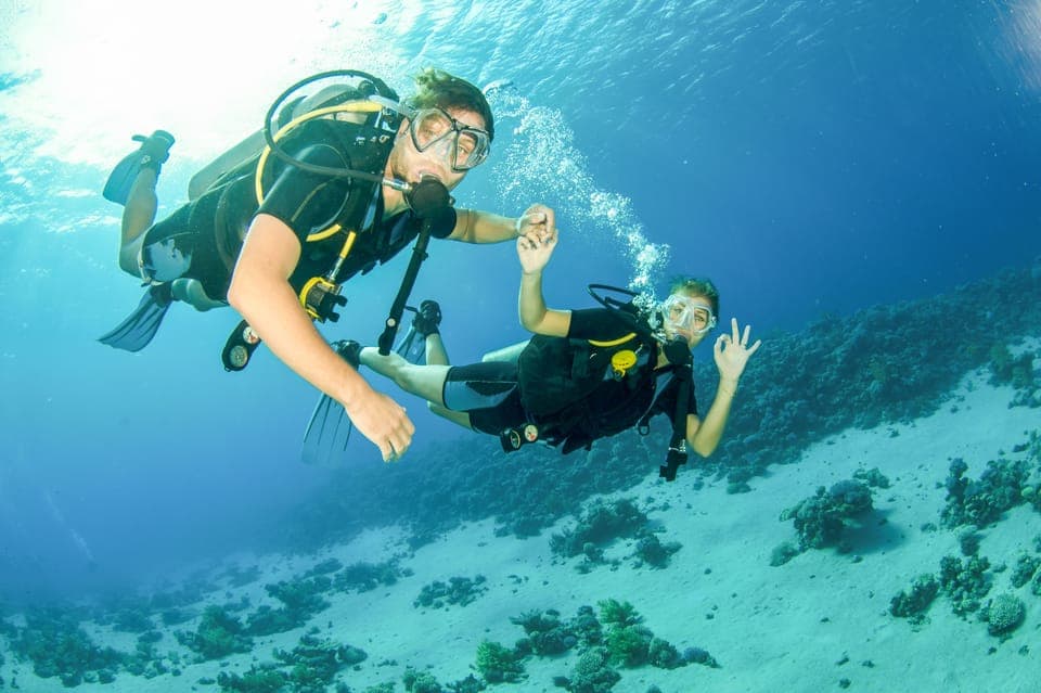 27. From Dubai: Fujairah Half-Day Scuba Dive and Snorkeling - Image 27