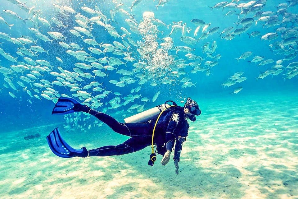 From Dubai: Fujairah Half-Day Scuba Dive and Snorkeling Gallery Image 2