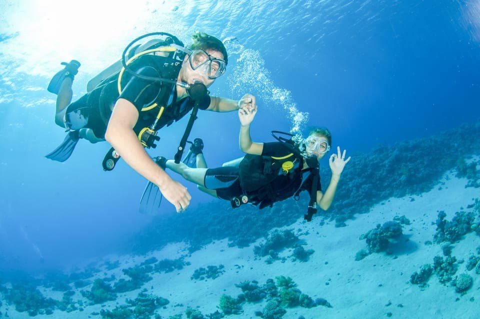 1. From Dubai: Discovery Scuba Diving & Snorkeling In Fujairah - Image 1