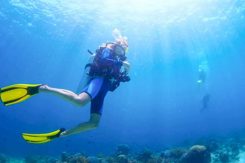 45. From Dubai: Fujairah Scuba Dive and Snorkeling - Image 45