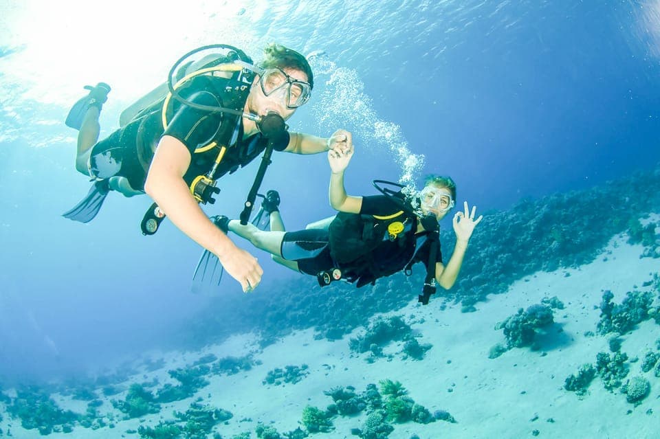 From Dubai: Fujairah Scuba Dive and Snorkeling Gallery Image 2