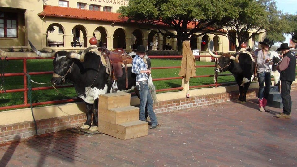 From Dallas: Fort Worth Guided Day Tour Gallery Image 3