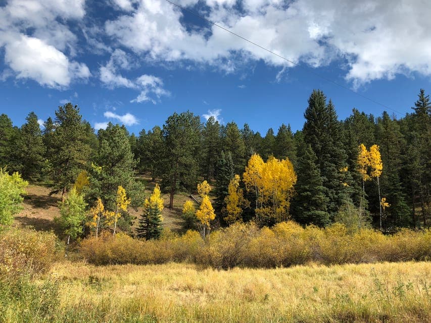 3 hour Hiking Adventure thru the Front Range of the Rockies Gallery Image 4