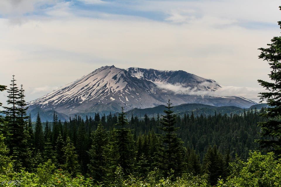 Mt. St. Helens National Monument Small Group Tour - Image NaN