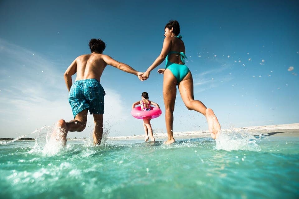 From Orlando: Clearwater Beach and Marine Aquarium Admission Gallery Image 4
