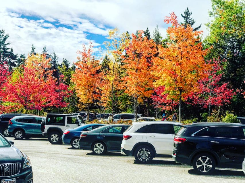 Fall Foliage Tour Gallery Image 1