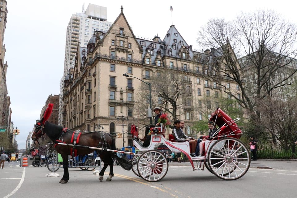 Horse Carriage Ride through Central Park Gallery Image 2