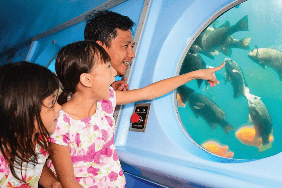23. Catalina Island: Yellow Semi-Submarine Cruise - Image 23
