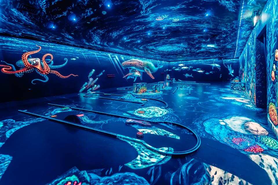 3D Glow-in-the-Dark Blacklight Mini Golf Experience - Image NaN