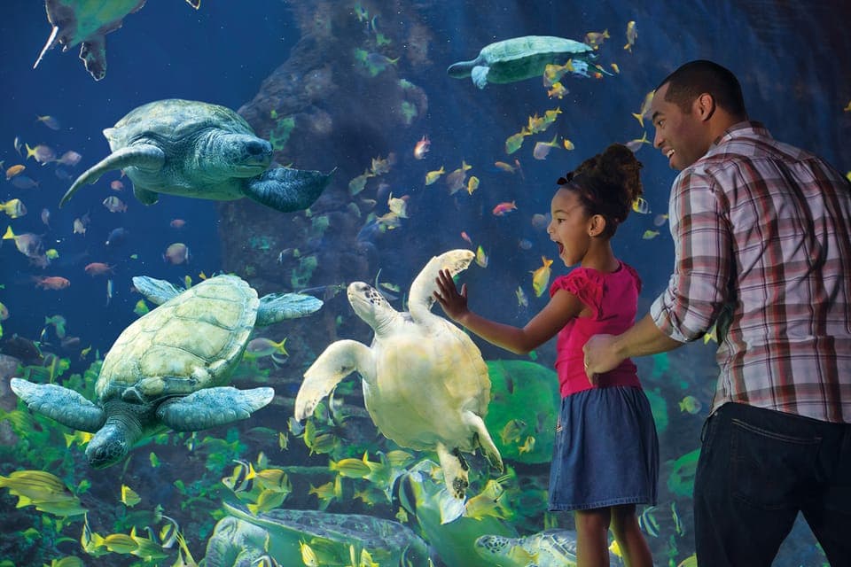 San Diego Pass: Save up to 50% - Includes LEGOLAND Gallery Image 4