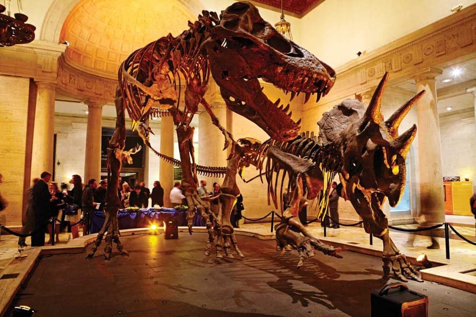 Los Angeles: Natural History Museum of LA Entry Ticket - Image NaN