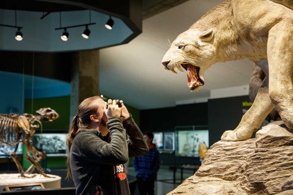 La Brea Tar Pits Museum Ticket Gallery Image 4