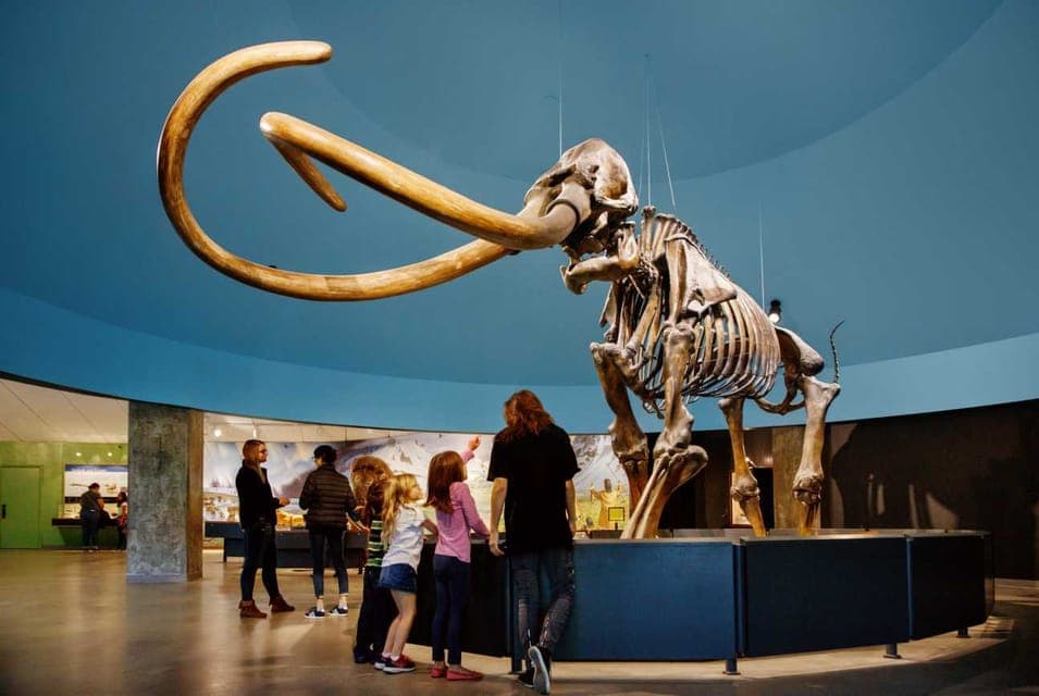 La Brea Tar Pits Museum Ticket Gallery Image 2