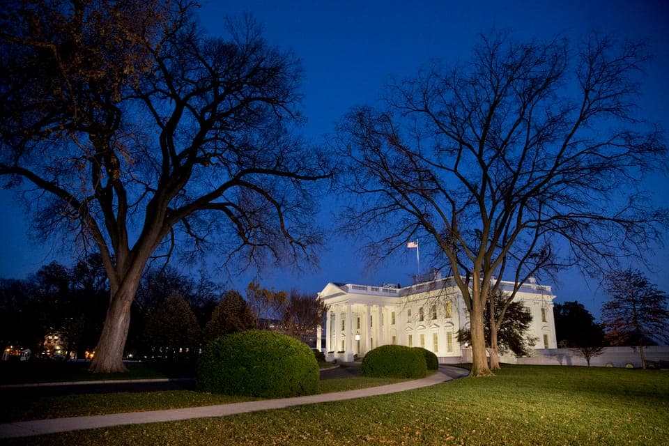 Washington DC: Small-Group 3-Hour Night Tour Gallery Image 3