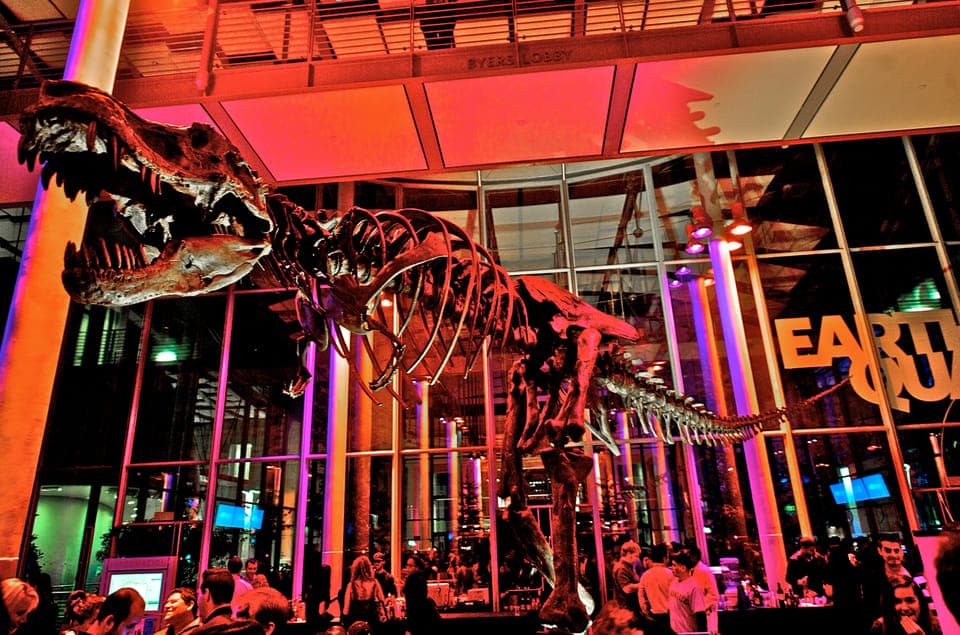 California Academy of Sciences Thursday NightLife Admission Gallery Image 4