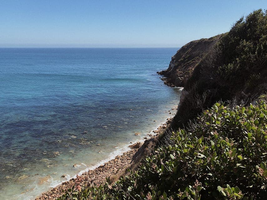 Malibu: Vintage VW Sightseeing Tour and Wine Tasting Gallery Image 4