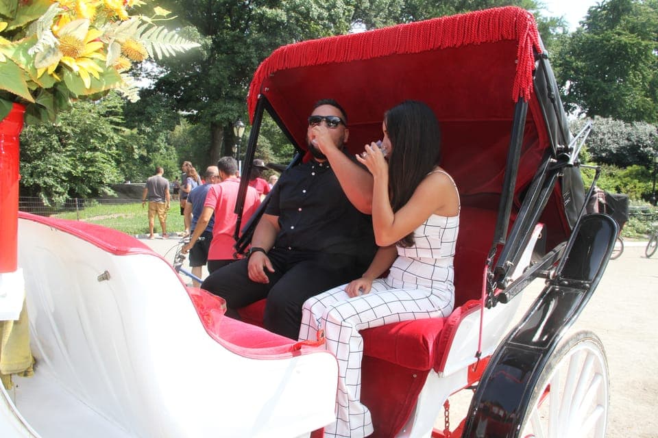 Romantic/Proposal Central Park Carriage Tour Up to 4 Adults Gallery Image 1