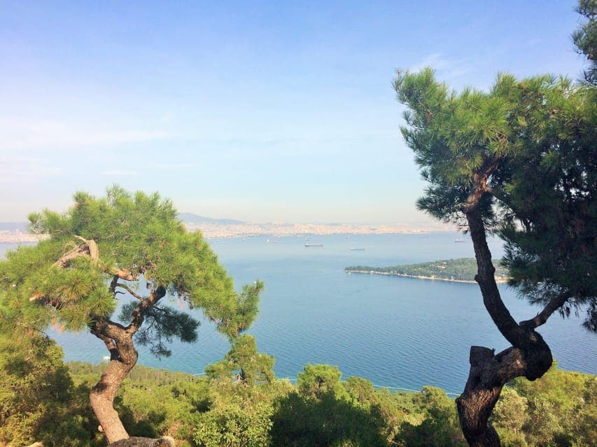 9. Istanbul: Day Trip to the Princes' Islands - Image 9