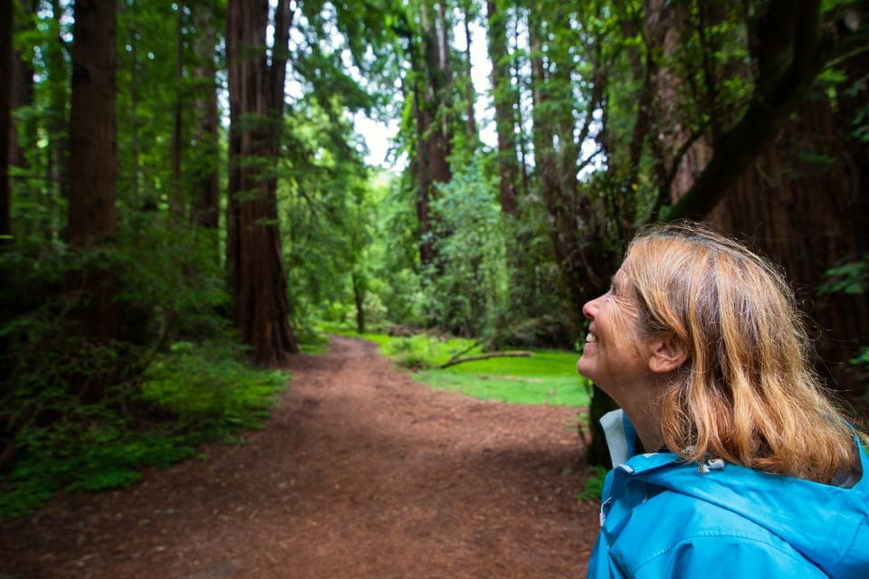 Morning Muir Woods & Sausalito Tour w/ Ferry Gallery Image 3