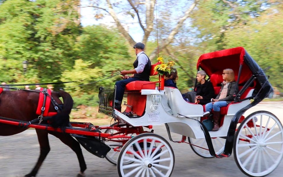 38. Guided Standard Central Park Carriage Ride (4 Adults) - Image 38