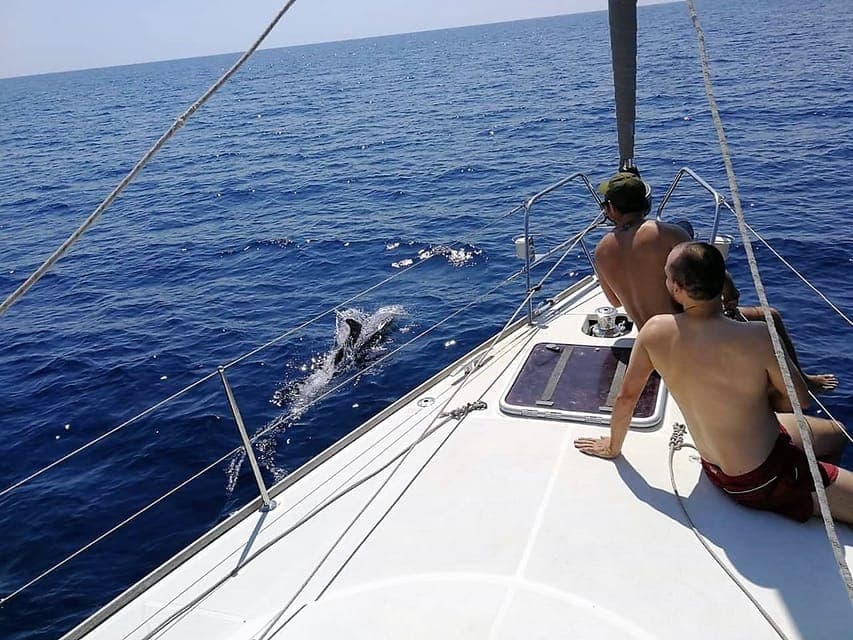 26. Sailing Trip with Drinks and Snacks - Image 26