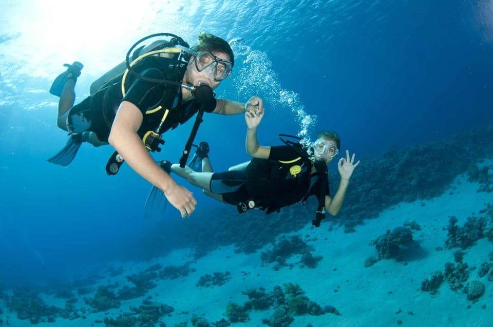 Fujairah: 2 Fun Dive Experience for Certified Divers Gallery Image 2