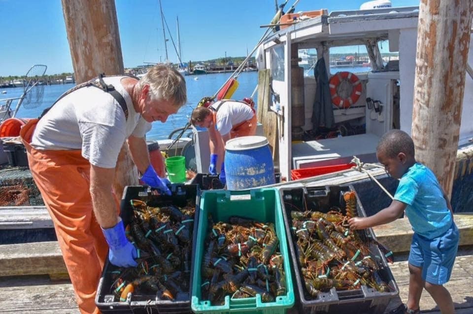 3. Kennebunkport Day Trip with Optional Lobster Tour - Image 3