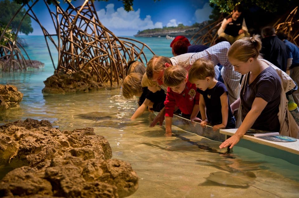 Boston CityPASS®: Save up to 46% at 4 Top Attractions Gallery Image 2