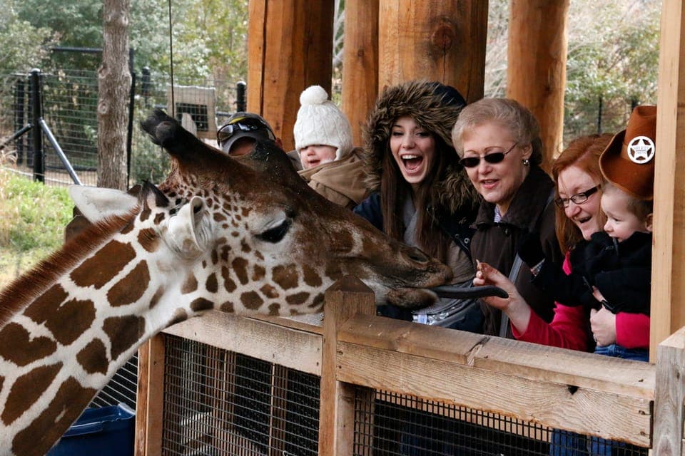 Dallas CityPASS®: Save up to 49% at 4 Top Attractions Gallery Image 4