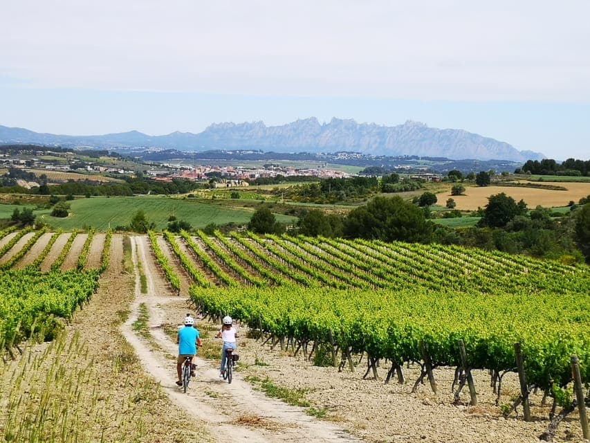8. Guided Half-Day Wine and Electric Bike Tour - Image 8