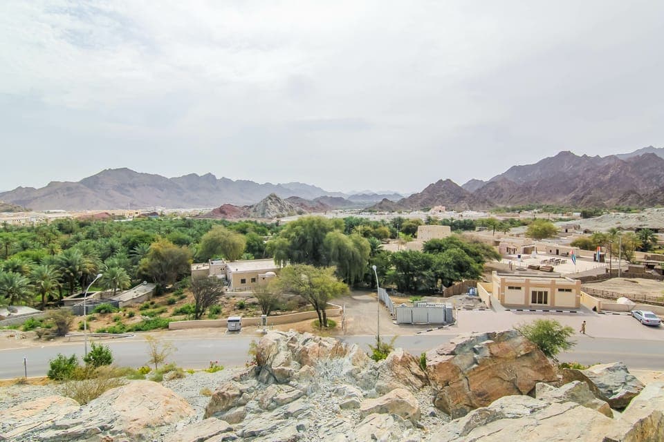 Hatta Safari & Honey Bee Garden Visit Gallery Image 3