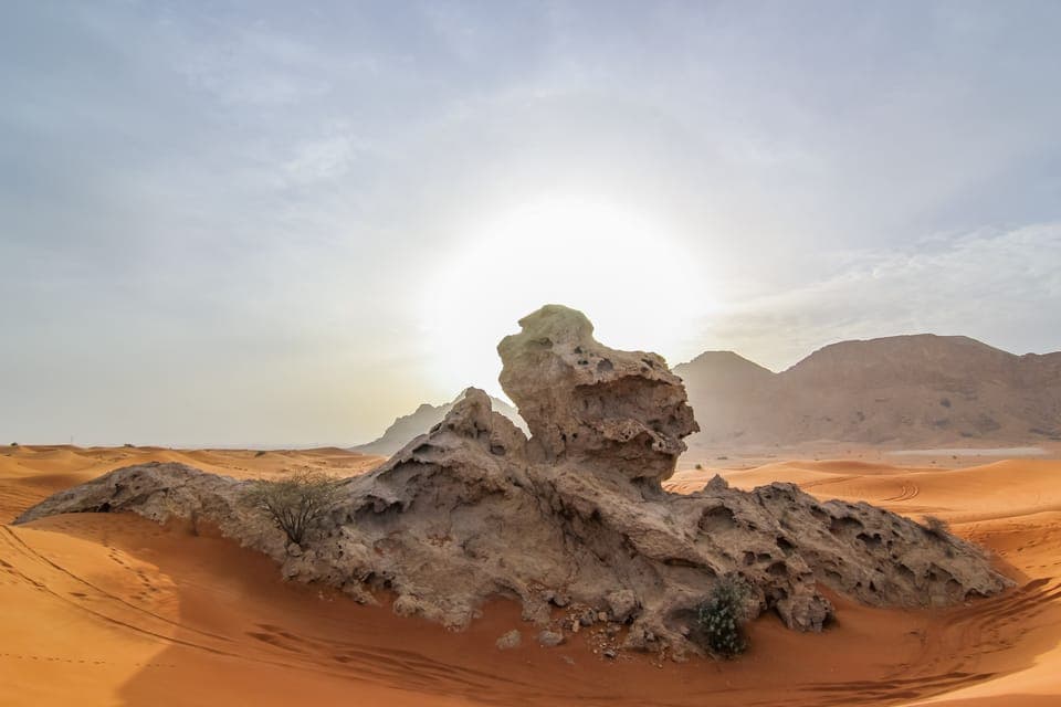 Mleiha Desert Safari with Sandboarding, Stargazing & Dinner Gallery Image 4
