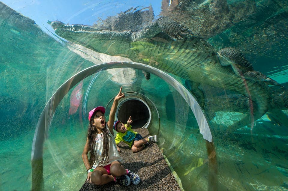 Zoo Miami: General Admission Ticket Gallery Image 2