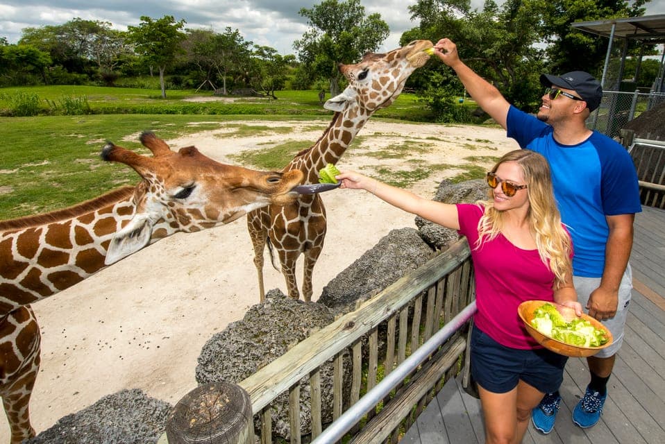 Zoo Miami: General Admission Ticket Gallery Image 1