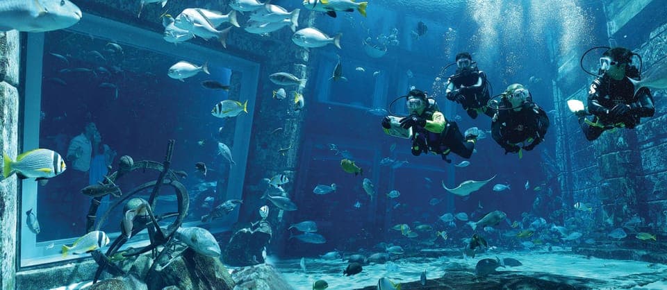 The Lost Chambers Aquarium Atlantis Diving Experience Gallery Image 1
