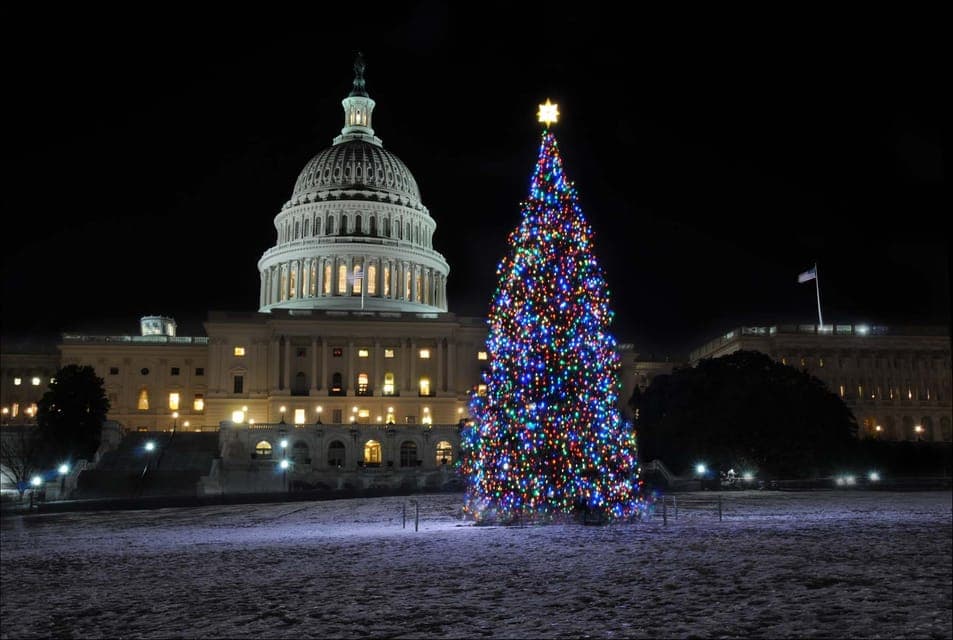 28. Washington, DC: Holiday Lights Nighttime Bus Tour - Image 28