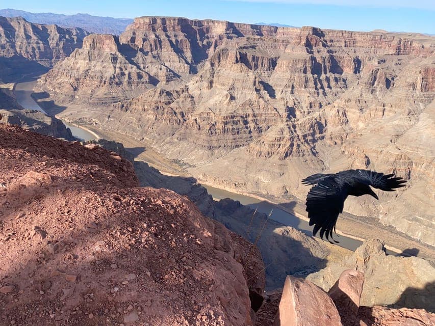 7. Grand Canyon & Hoover Dam: Private Tour from Las Vegas - Image 7
