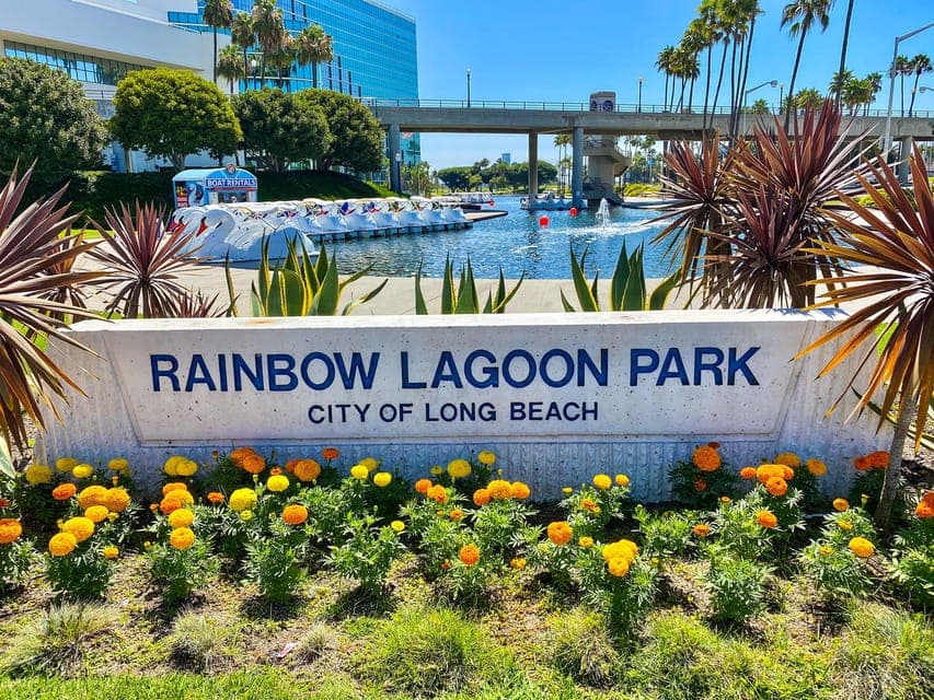 Long Beach: Swan Boat Rental at Rainbow Lagoon Gallery Image 4