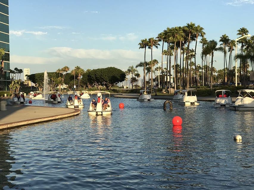 Long Beach: Swan Boat Rental at Rainbow Lagoon Gallery Image 3